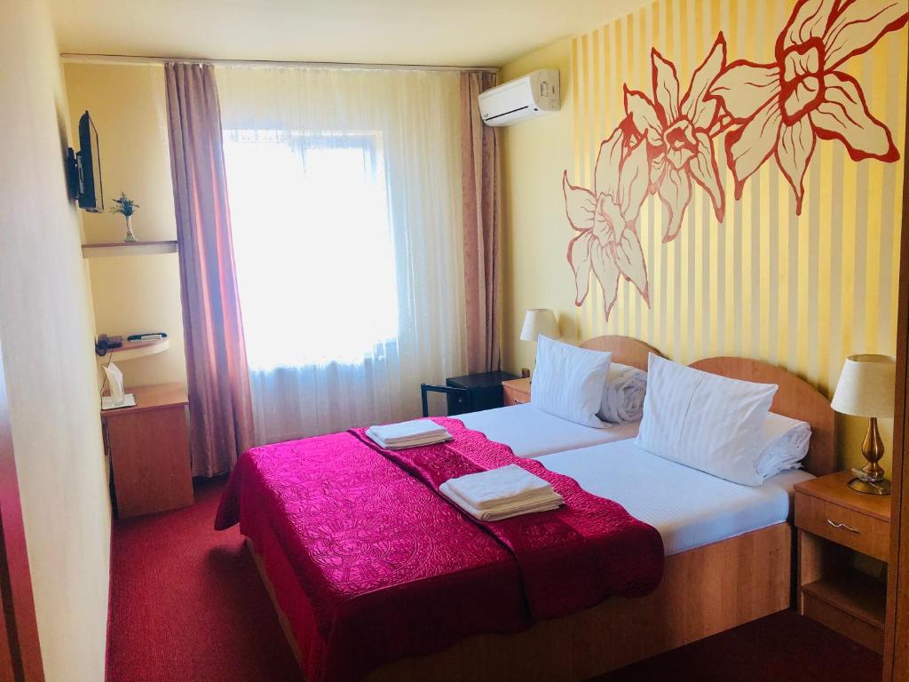 Pensiunea Ileana - Standard Twin Room