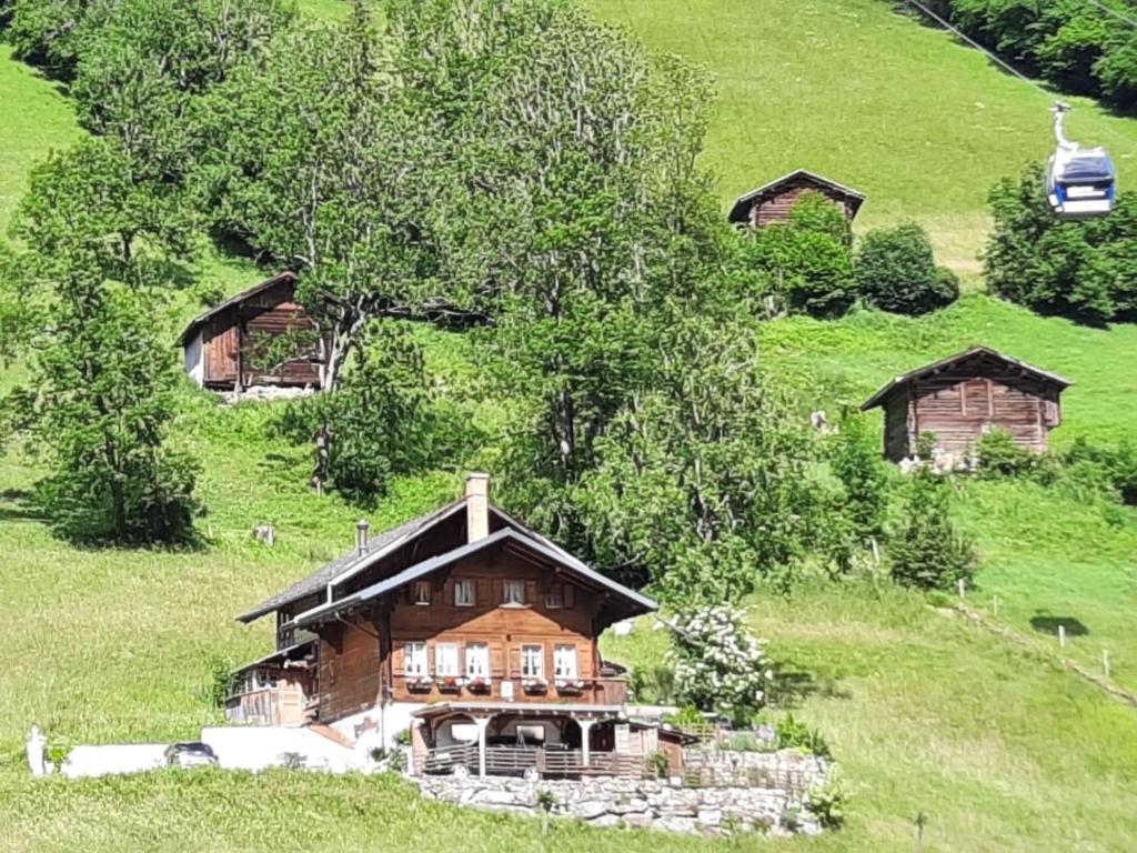 uma casa de madeira numa colina num campo em Apartment Kari's Schüür by Interhome em Lenk