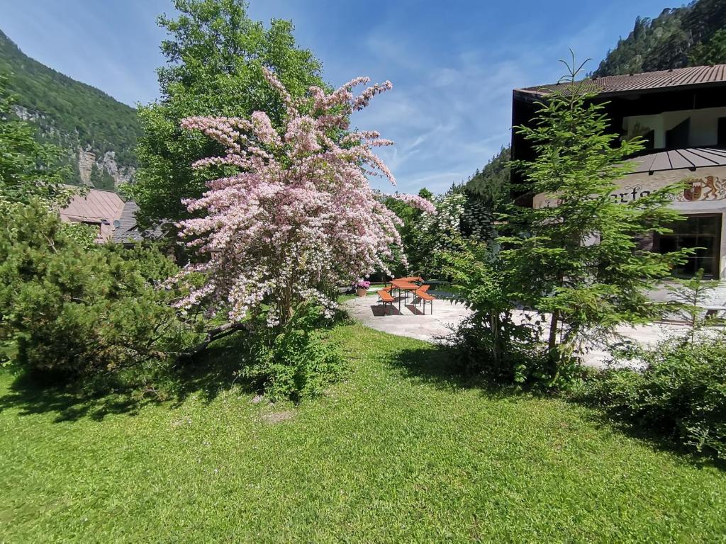 a flowering tree in a yard next to a building at Pension Almhof Baumgarten in Bad Reichenhall