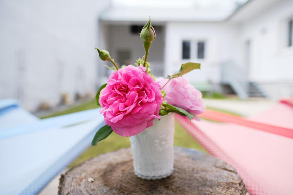 een vaas gevuld met roze bloemen zittend op een tafel bij Domizil Gols, Studios Am Anger in Gols