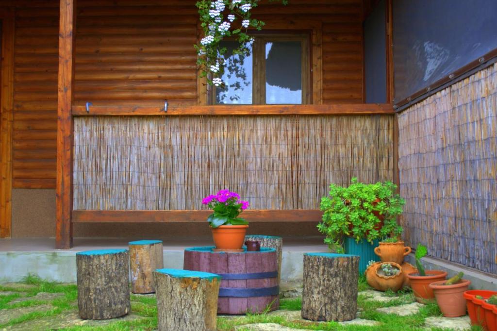 Zahrada ubytování Casa Arina