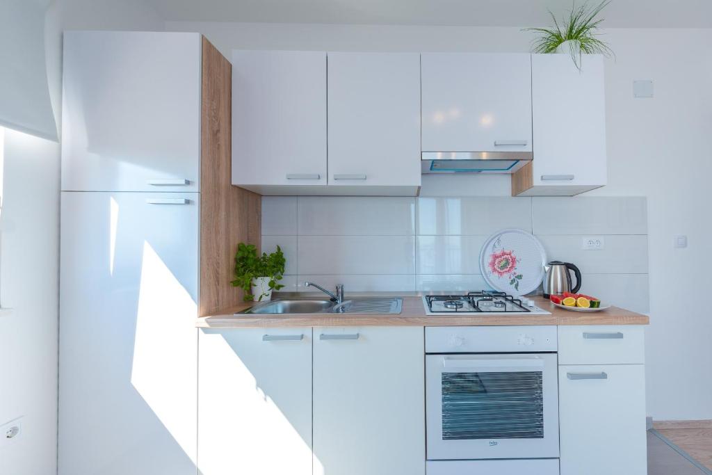 Kuchyň nebo kuchyňský kout v ubytování Apartments Villa Made 4U
