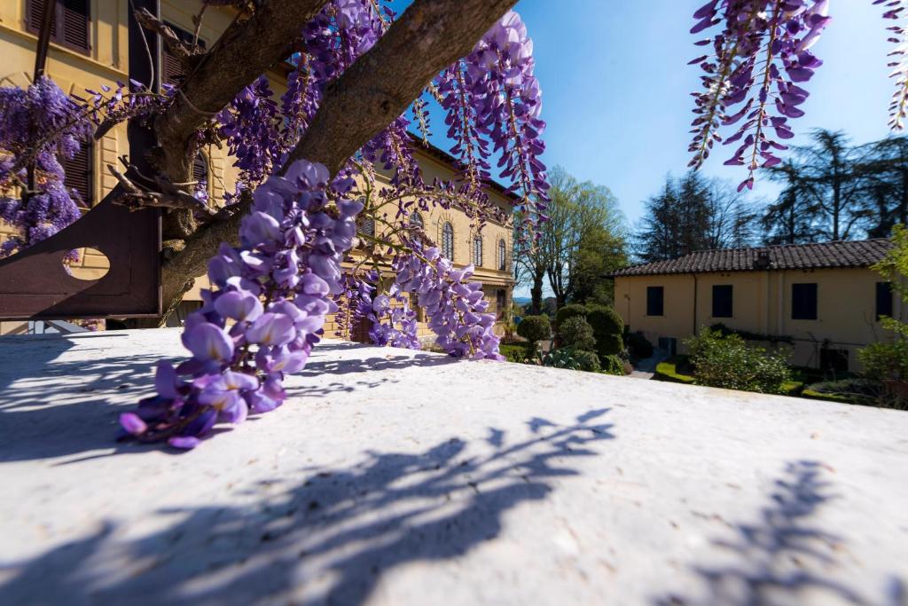Zahrada ubytování Villa Scacciapensieri Boutique Hotel