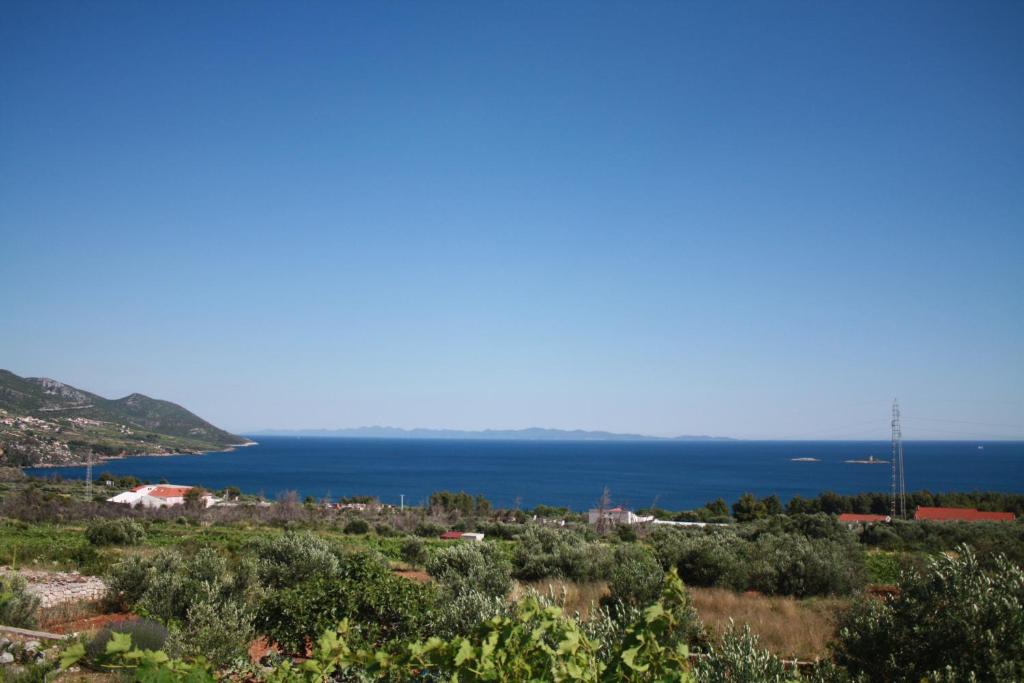 Príroda v okolí apartmánu