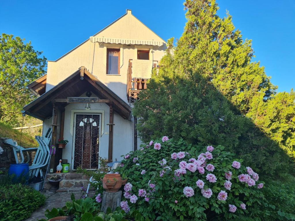 a house with a bunch of flowers in front of it at Naplopó-lak in Ábrahámhegy