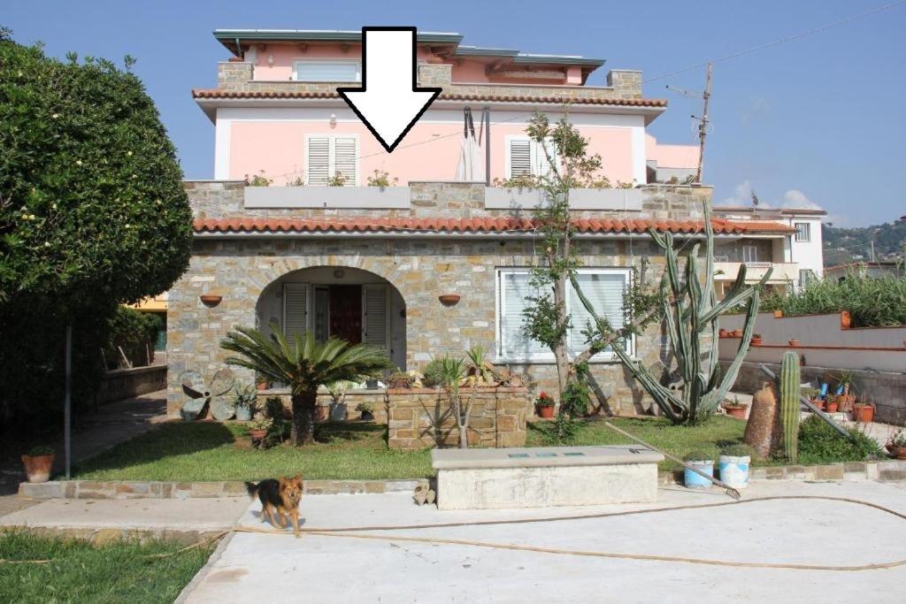 a dog standing in front of a house at Appartamento Lamù in Santa Maria di Castellabate