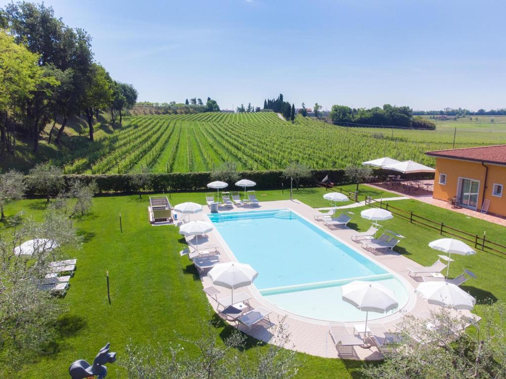 an overhead view of a pool with chairs and umbrellas at Agriturismo Ai Prati in Lazise