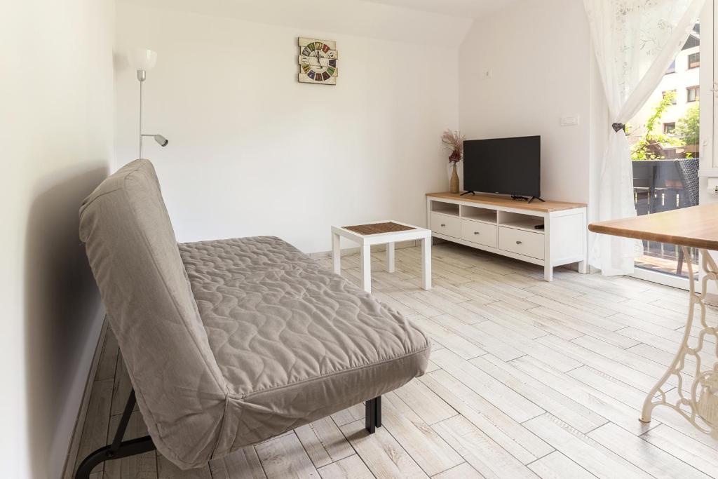 TV a/nebo společenská místnost v ubytování Pod Koblo Bohinj Apartments