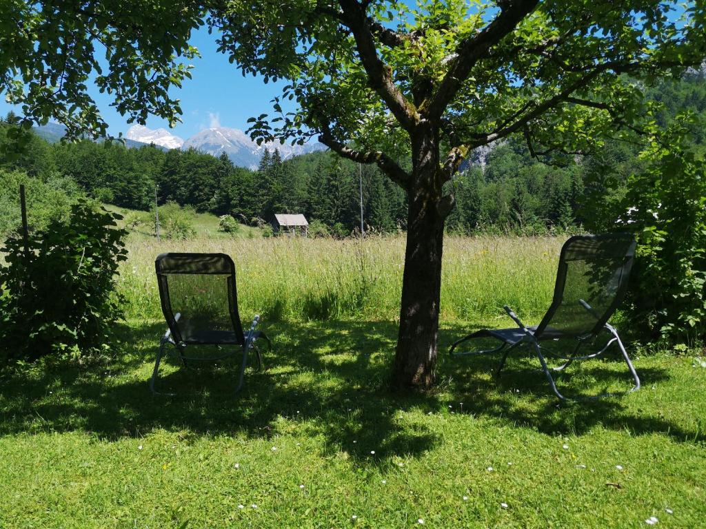 Příroda nedaleko apartmánu