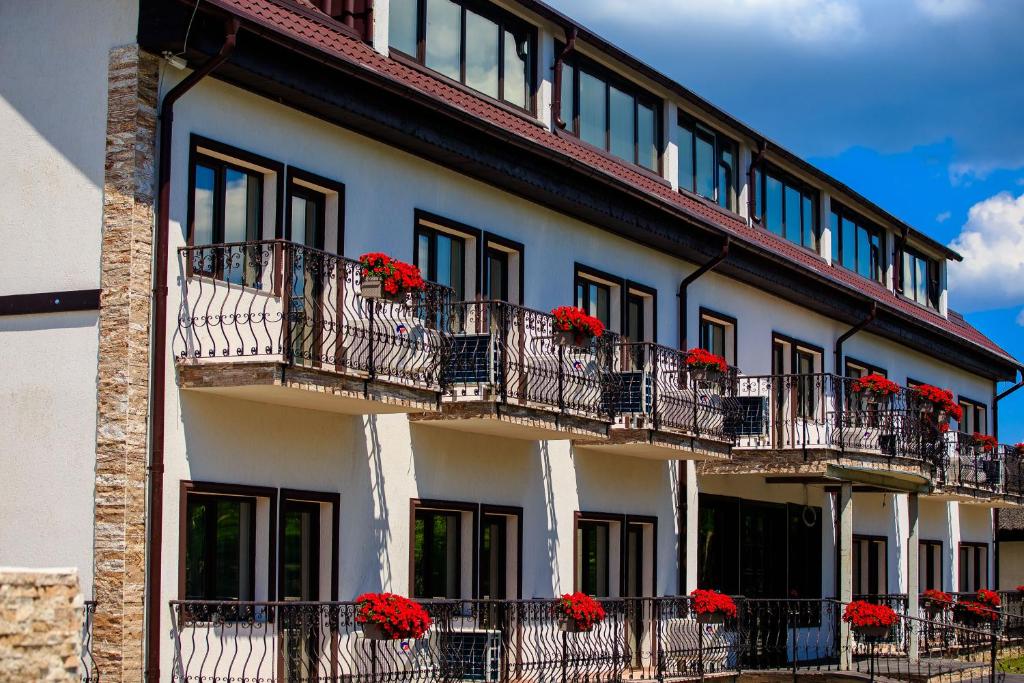 um edifício com flores vermelhas nas varandas em La Casa cu Stuf em Baldovineşti