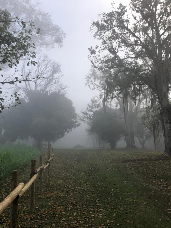  Vivenda dos Guaranys - uma imersão na natureza