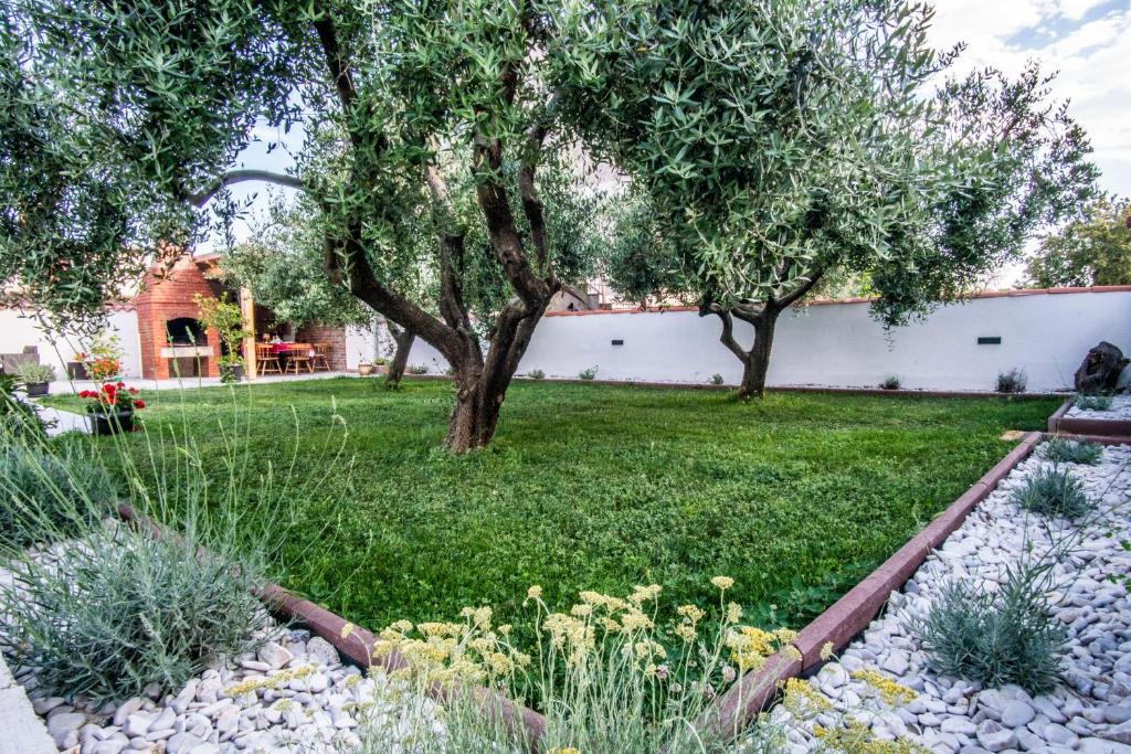 Ogród w obiekcie House Nada apartman