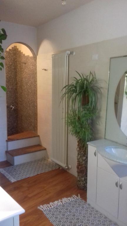 a bathroom with a sink and a mirror and a plant at Casa Criss in Brentonico