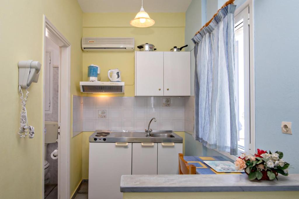 Kuchyň nebo kuchyňský kout v ubytování Irini Studios in Tinos