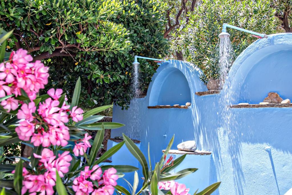Zahrada ubytování Irini Studios in Tinos