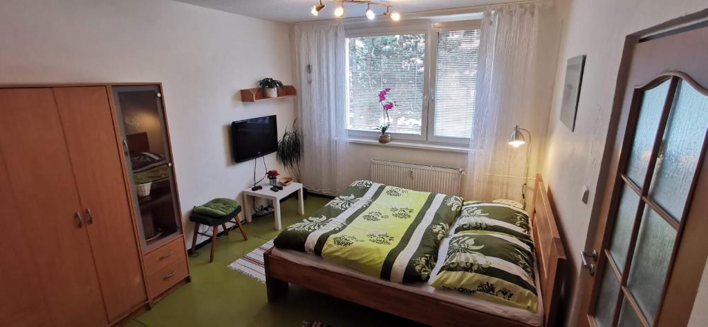 a bedroom with a bed and a window at Apartmán v Jihlava City in Jihlava