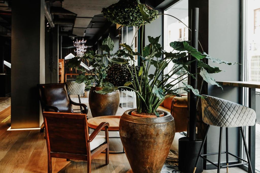 a room with several potted plants and a table and chairs at Urban Anaga Hotel in Santa Cruz de Tenerife