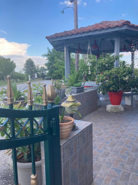 Zahrada ubytování Hotel Medousa