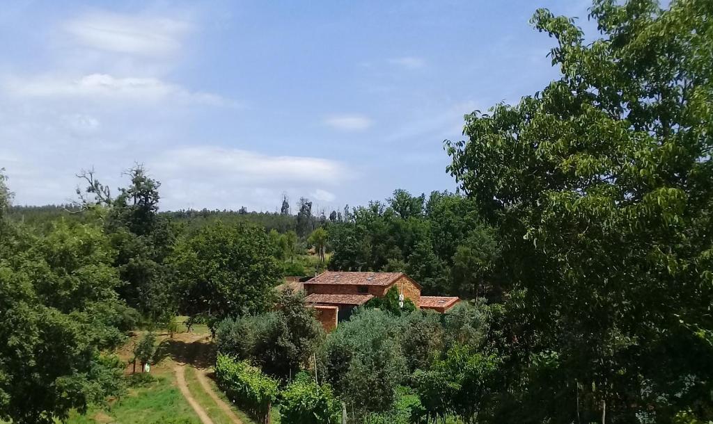 ein Haus mitten auf einem Feld mit Bäumen in der Unterkunft Agua Azul poolside rest a luxurious rural woodland idyll in Cabeçadas