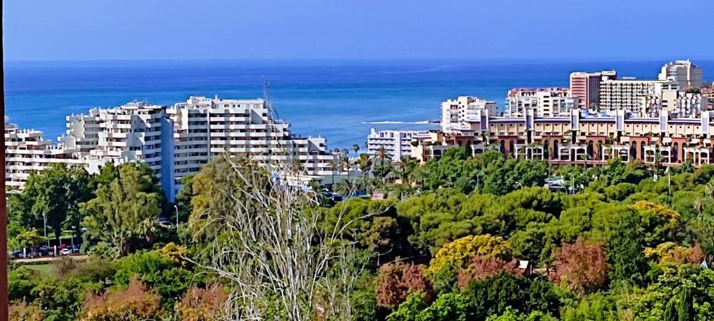 a city with tall buildings and trees in front of the ocean at Benalmadena Aguila apartment wonderful views in Benalmádena