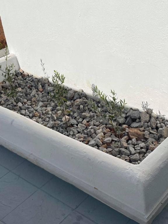 Fotografie z fotogalerie ubytování Coralli Beach Hotel v destinaci Kokkíni Khánion