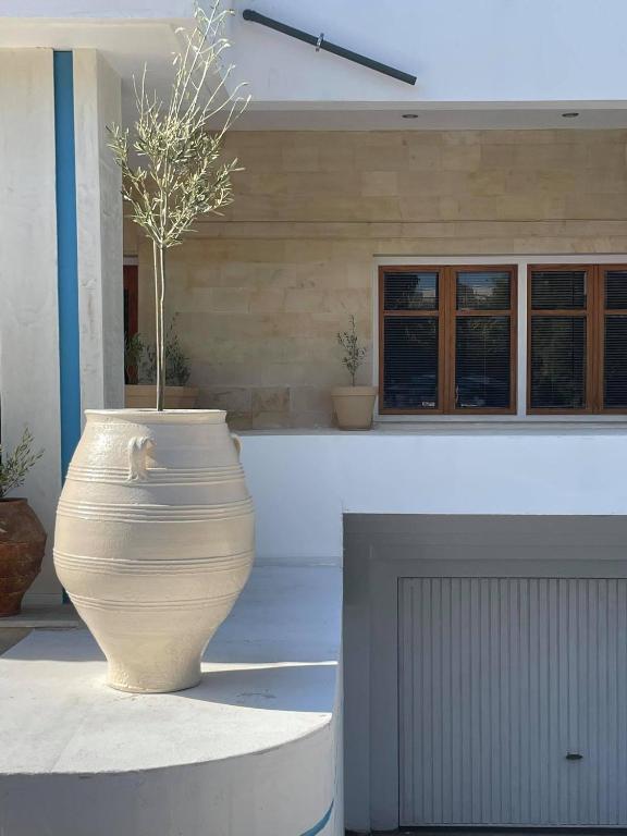 Fotografie z fotogalerie ubytování Coralli Beach Hotel v destinaci Kokkíni Khánion