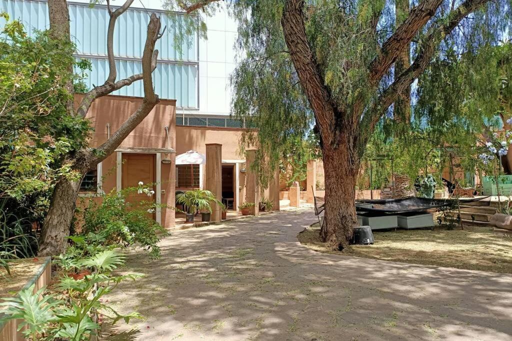 Fotografie z fotogalerie ubytování Apartamento-Bungalow con jardín y garaje v destinaci Santa Cruz de Tenerife