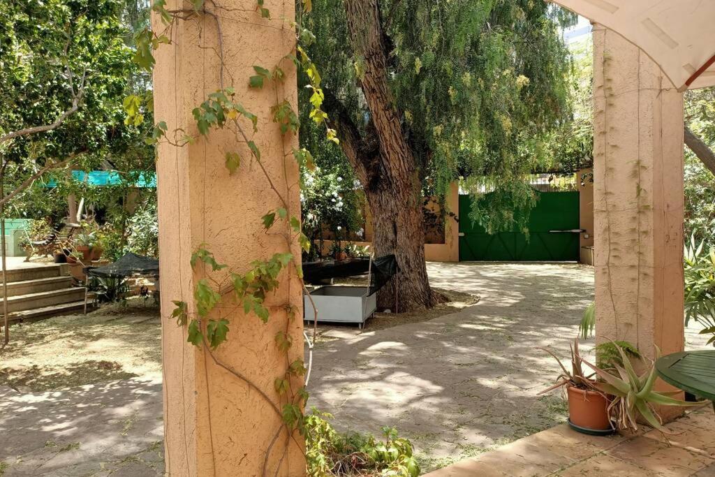 Fotografie z fotogalerie ubytování Apartamento-Bungalow con jardín y garaje v destinaci Santa Cruz de Tenerife