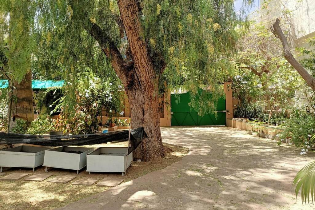 Fotografie z fotogalerie ubytování Apartamento-Bungalow con jardín y garaje v destinaci Santa Cruz de Tenerife