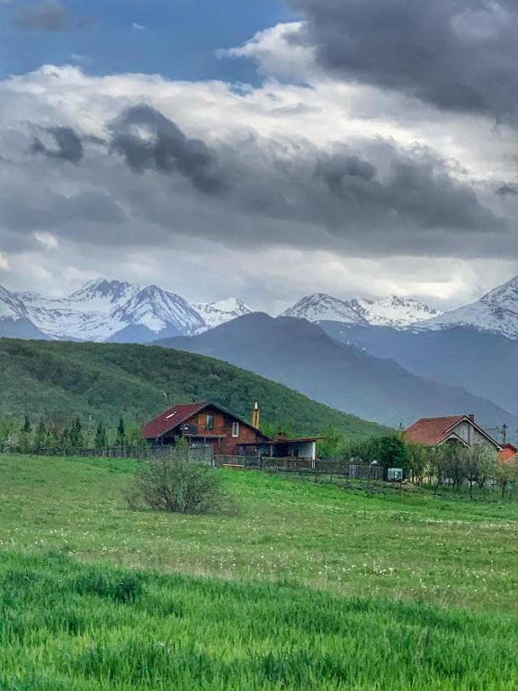 a house in a field with snowy mountains in the background at Casuta-Lacului in Unciuc