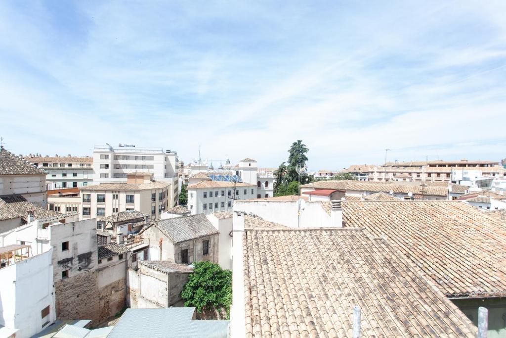 Sueño de Elvira - 12