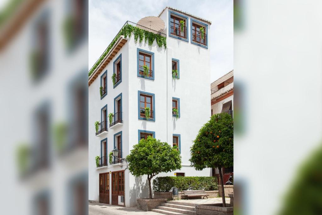 Sueño de Elvira - 16