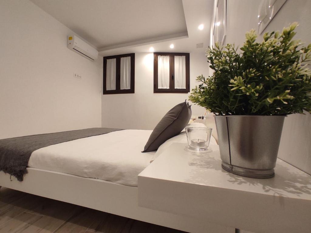 Rual Centro apartamento - 15