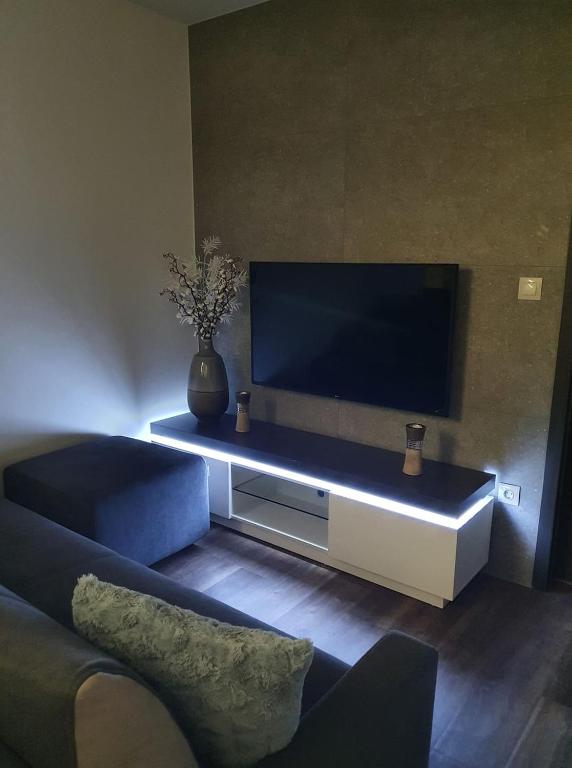 Televízia a/alebo spoločenská miestnosť v ubytovaní Dévai-LUX Apartman Sárvár