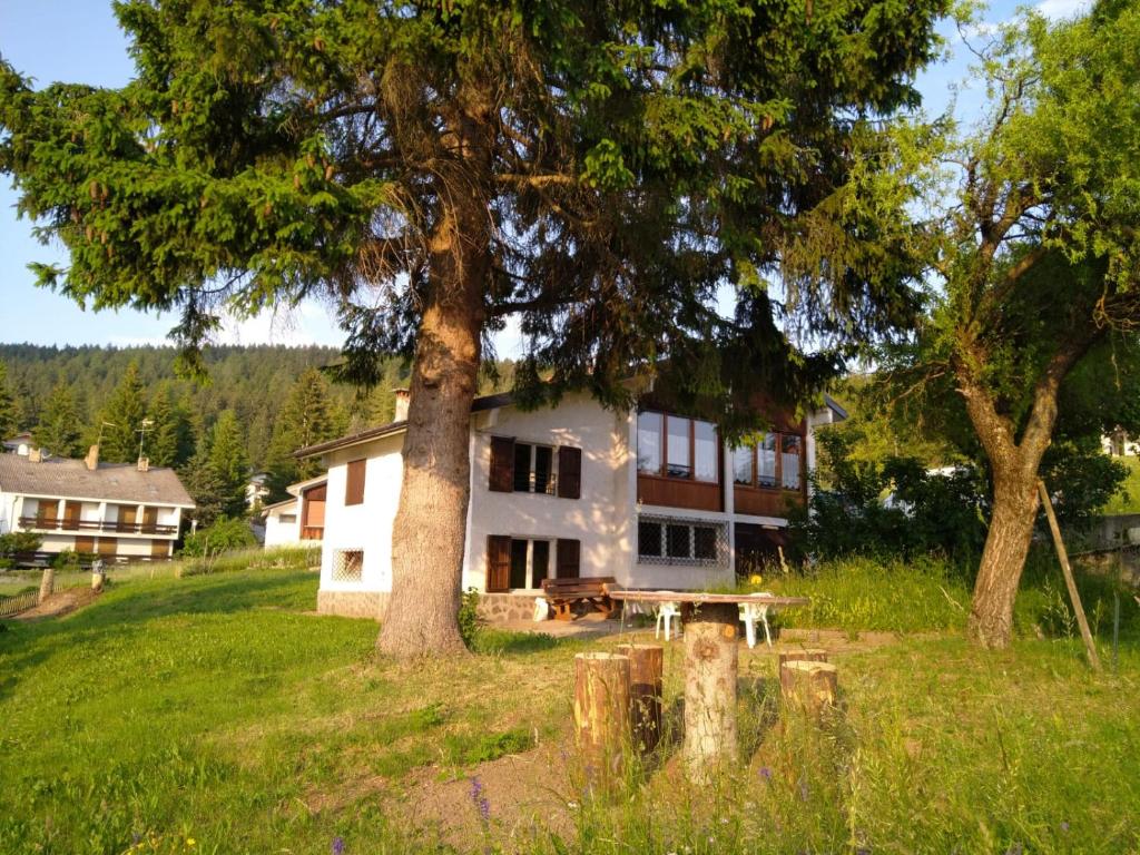 une maison avec une table de pique-nique devant un arbre dans l'établissement Pisolo Cottage, à Ronzone