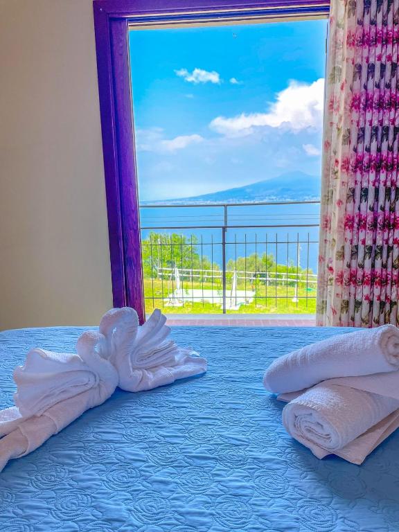 ANTICA TENUTA CELOTTO - 14