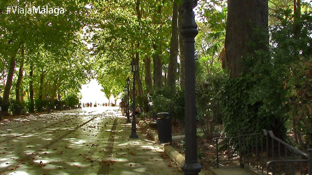 Rual Centro apartamento - 7