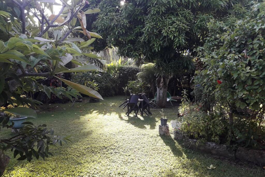 Fare Totara, jardin verdoyant - photo 10 - Moorea, Polynésie