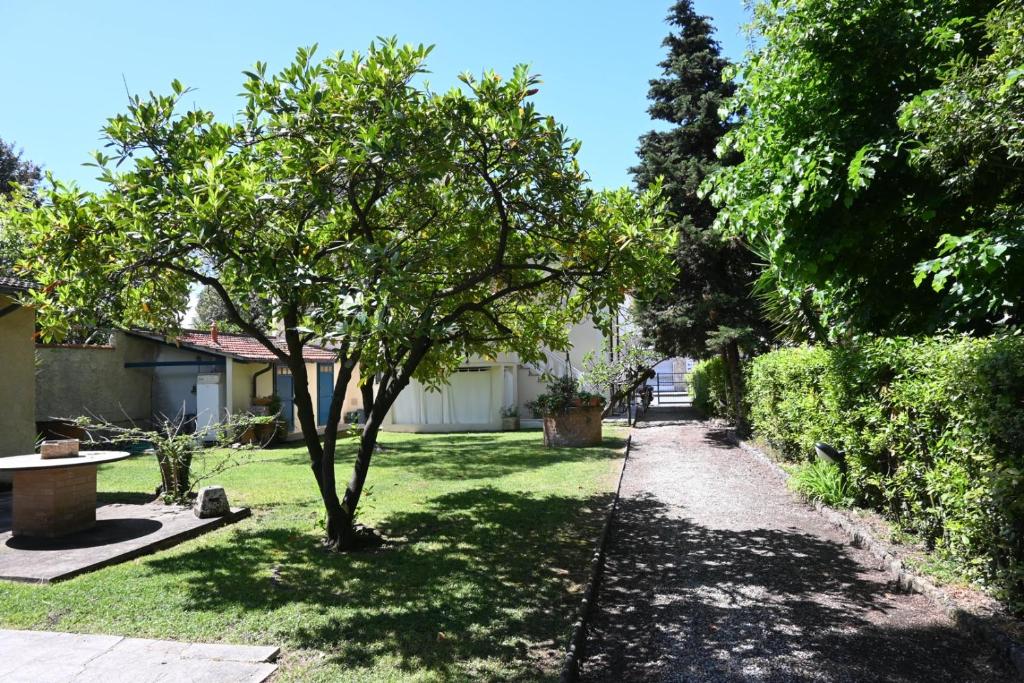 un patio con un árbol y una acera en Il Pozzetto Home Resort, en Pietrasanta
