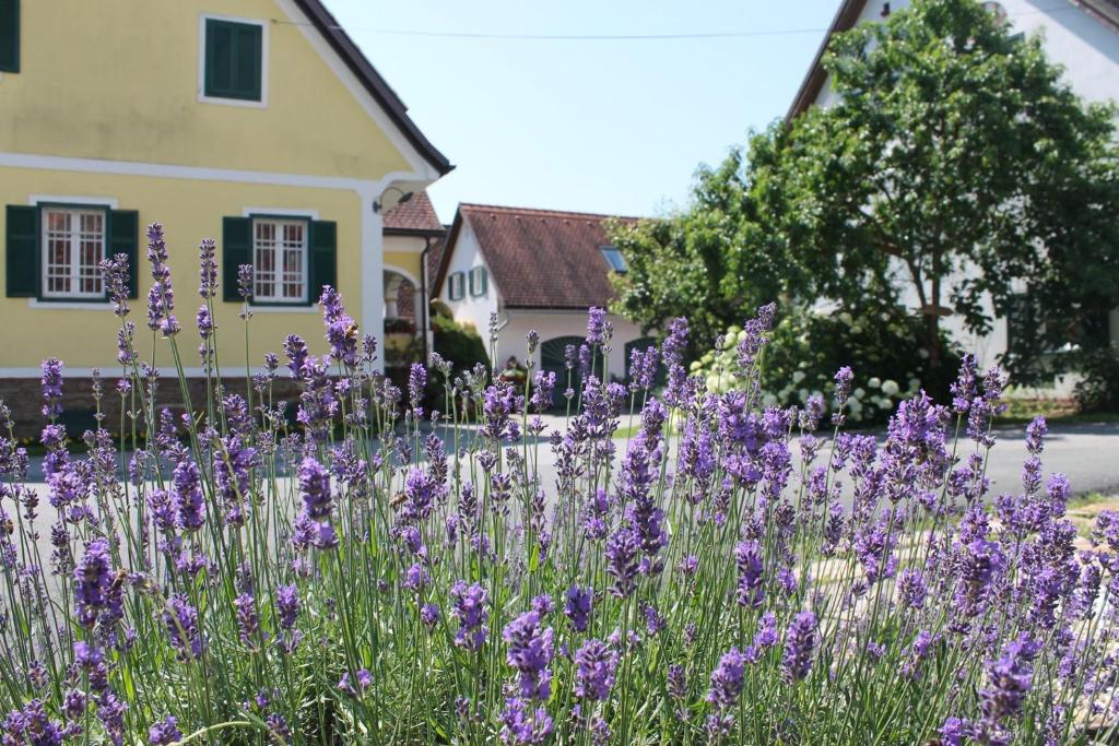 Vonkajšia záhrada v ubytovaní Farmer-Rabensteiner