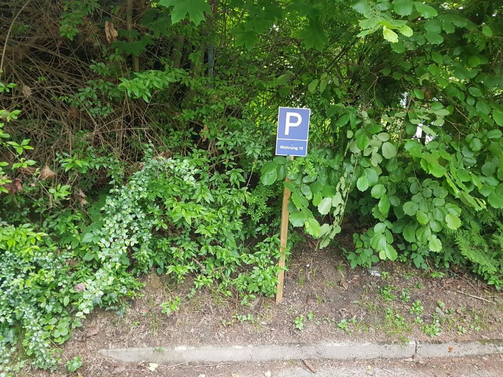 Zahrada ubytování Ferienwohnung Karasek mit Seeblick