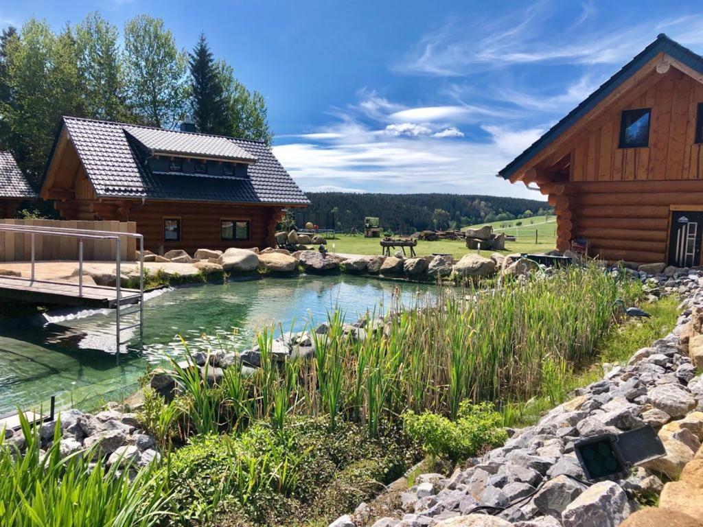 einem Teich vor einer Blockhütte in der Unterkunft Naturstammhaus und Appartements Zum Brockenbaecker in Tanne