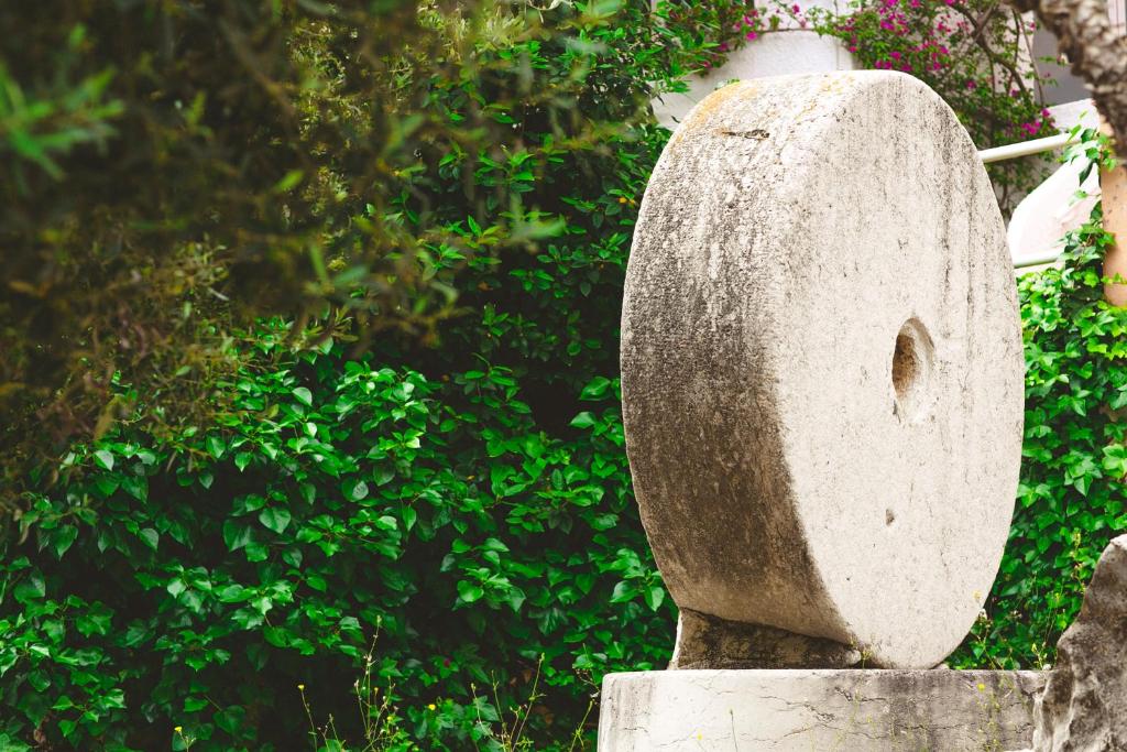 Fotografie z fotogalerie ubytování Los Palmitos Peñiscola v destinaci Peñíscola
