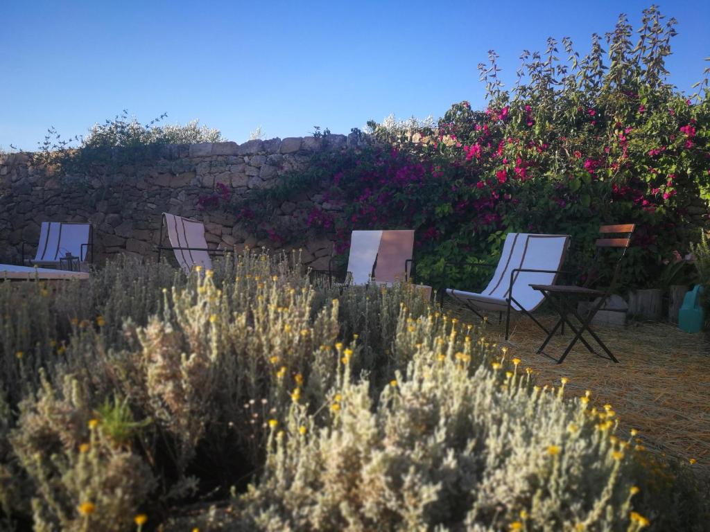 Сад в Casette Marianeddi -Agriturismo Marianeddi