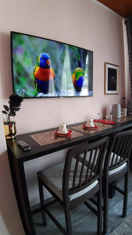 TV a/nebo společenská místnost v ubytování Room De Lux SPA " TABARKA "