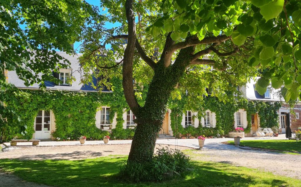 a tree in front of a building with ivy at La Tilia in Saint-Riquier