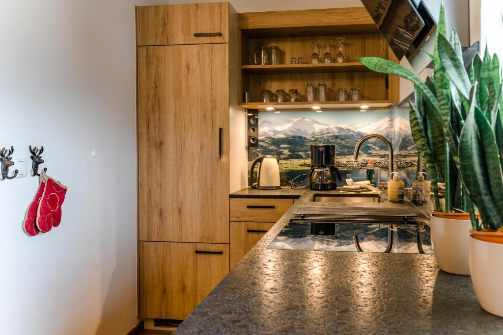 Kuchyň nebo kuchyňský kout v ubytování Alm Appartements ZellamSee