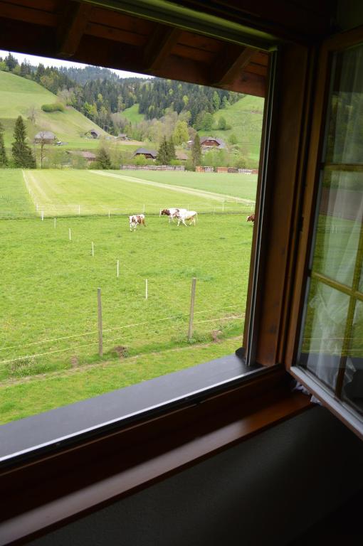 Příroda nedaleko hotelu