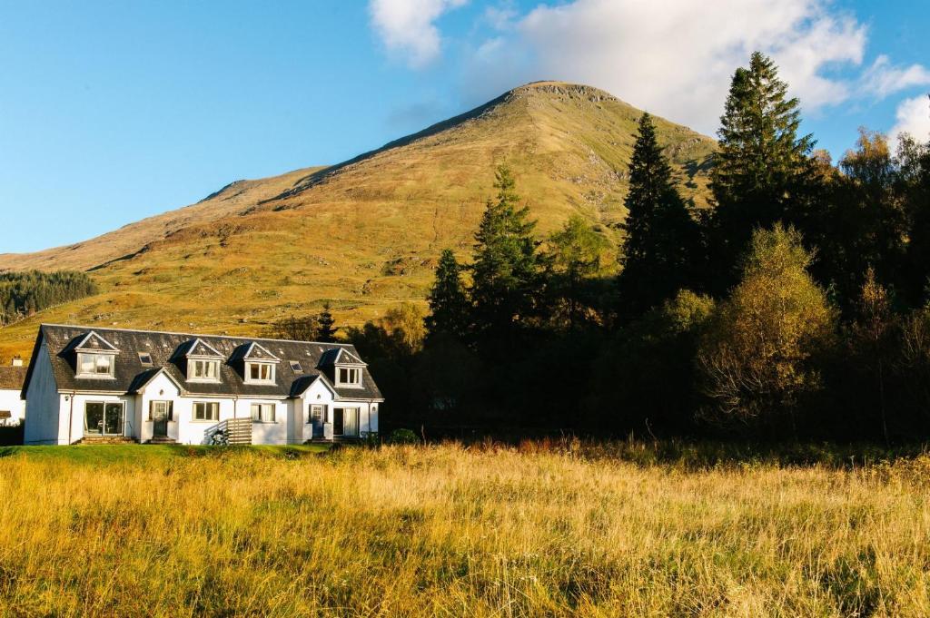 a house in a field with a mountain in the background at Capercaillie Cottage in Crianlarich