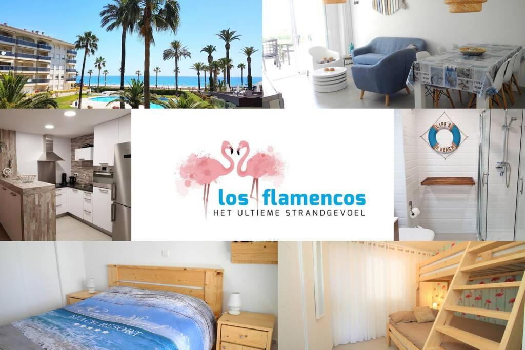 ミアミ・プラトーヤにあるNEW! Modern apartment right on the beach!の家の写真のコラージュ